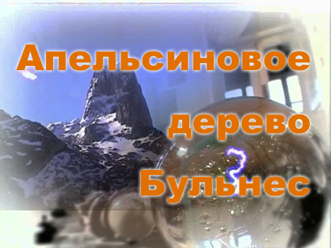 Апельсиновое дерево Бульнес